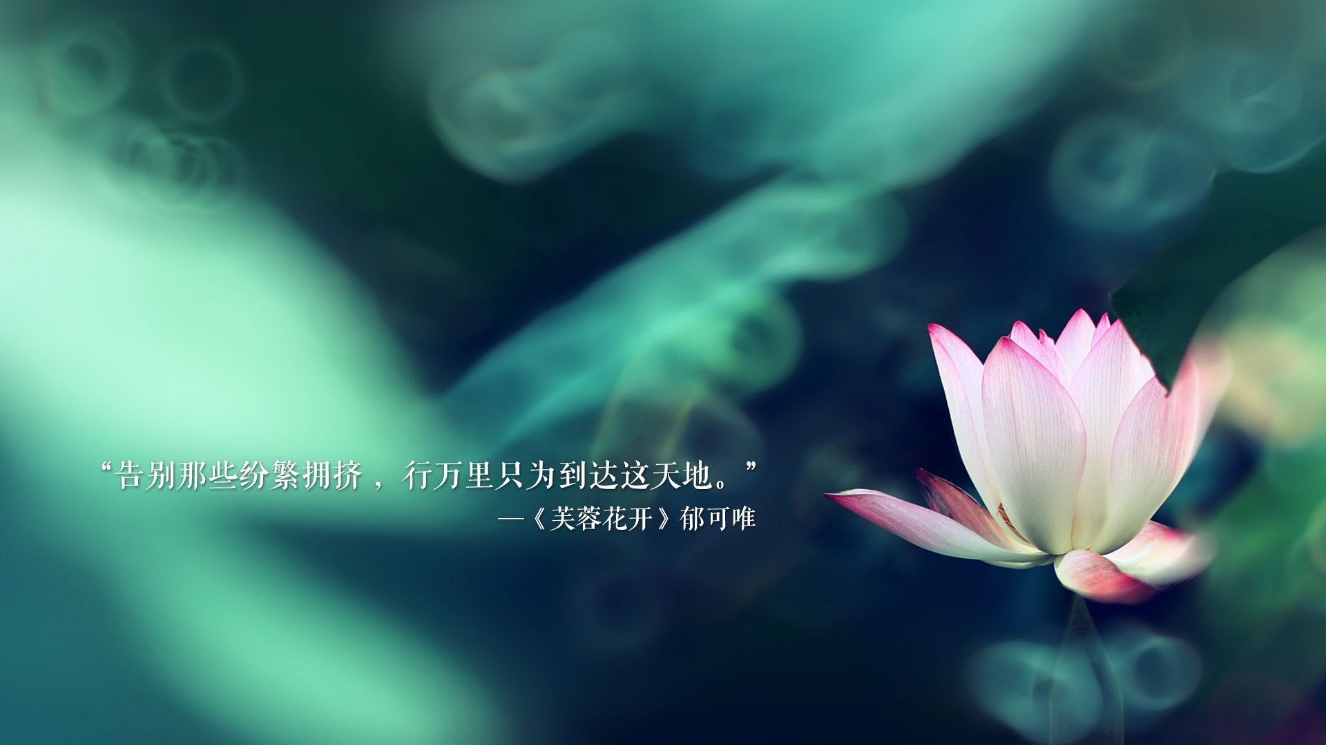 “青少年足球训练营吸引大批青少年，踢出梦想”，青少年足球训练营文化节手抄报