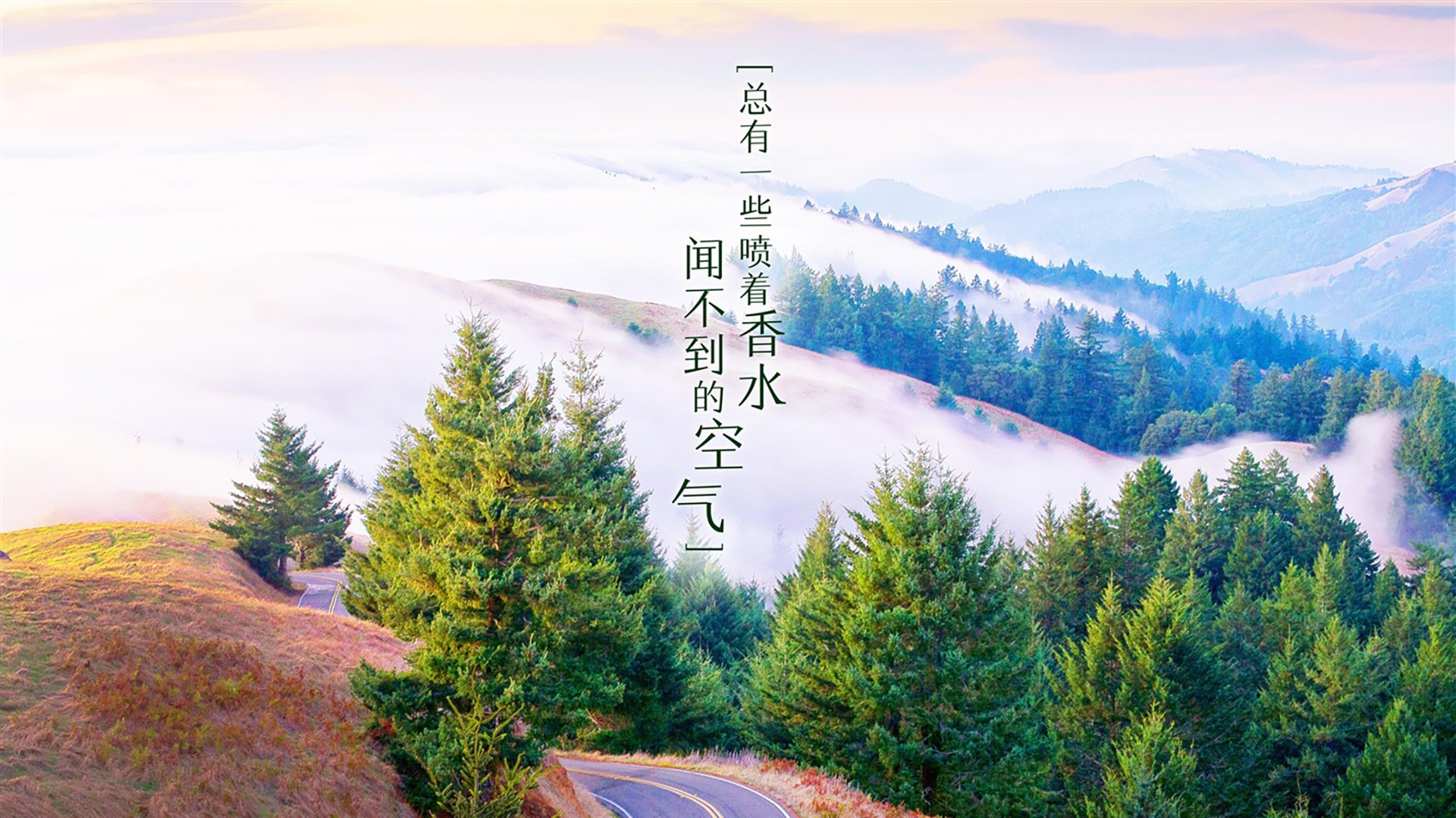 道格拉斯·科斯塔与弗鲁米嫩塞解约后加盟悉尼FC，道格拉斯.科斯塔