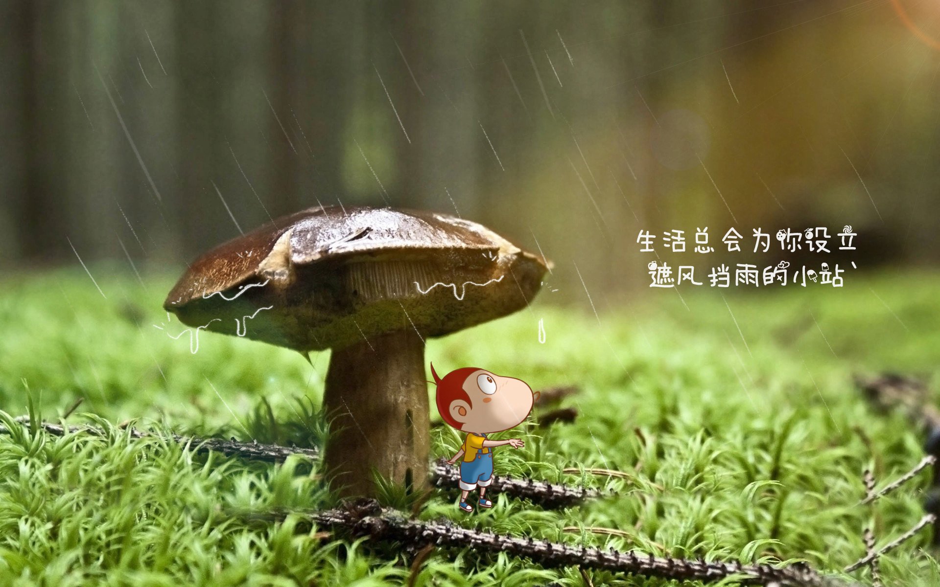 全国青少年篮球对抗赛激烈开打，青春无畏，全国青少年校园篮球