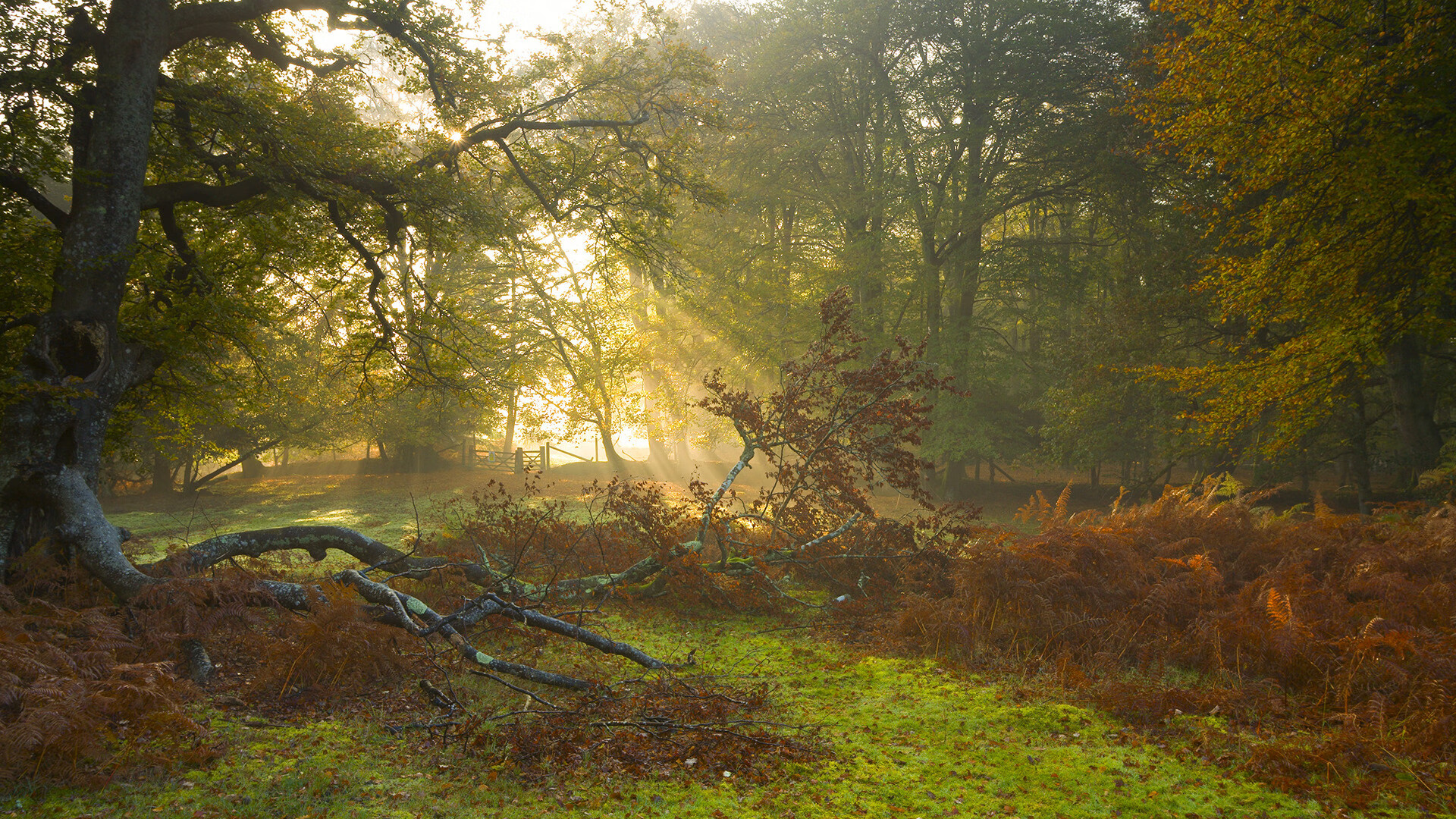 九游（jiuyou.com）游戏-大数据比对历史表现为选材提供依据，大数据对比分析