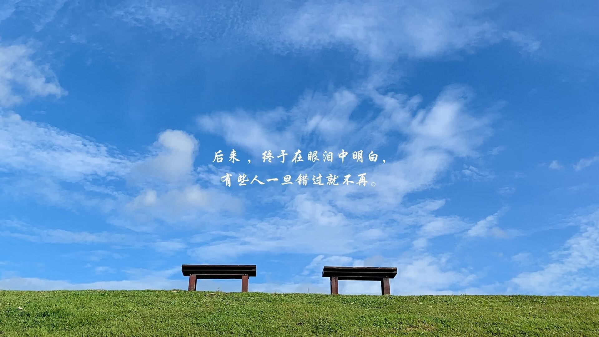 大数据比对历史表现为选材提供依据，大数据对比分析