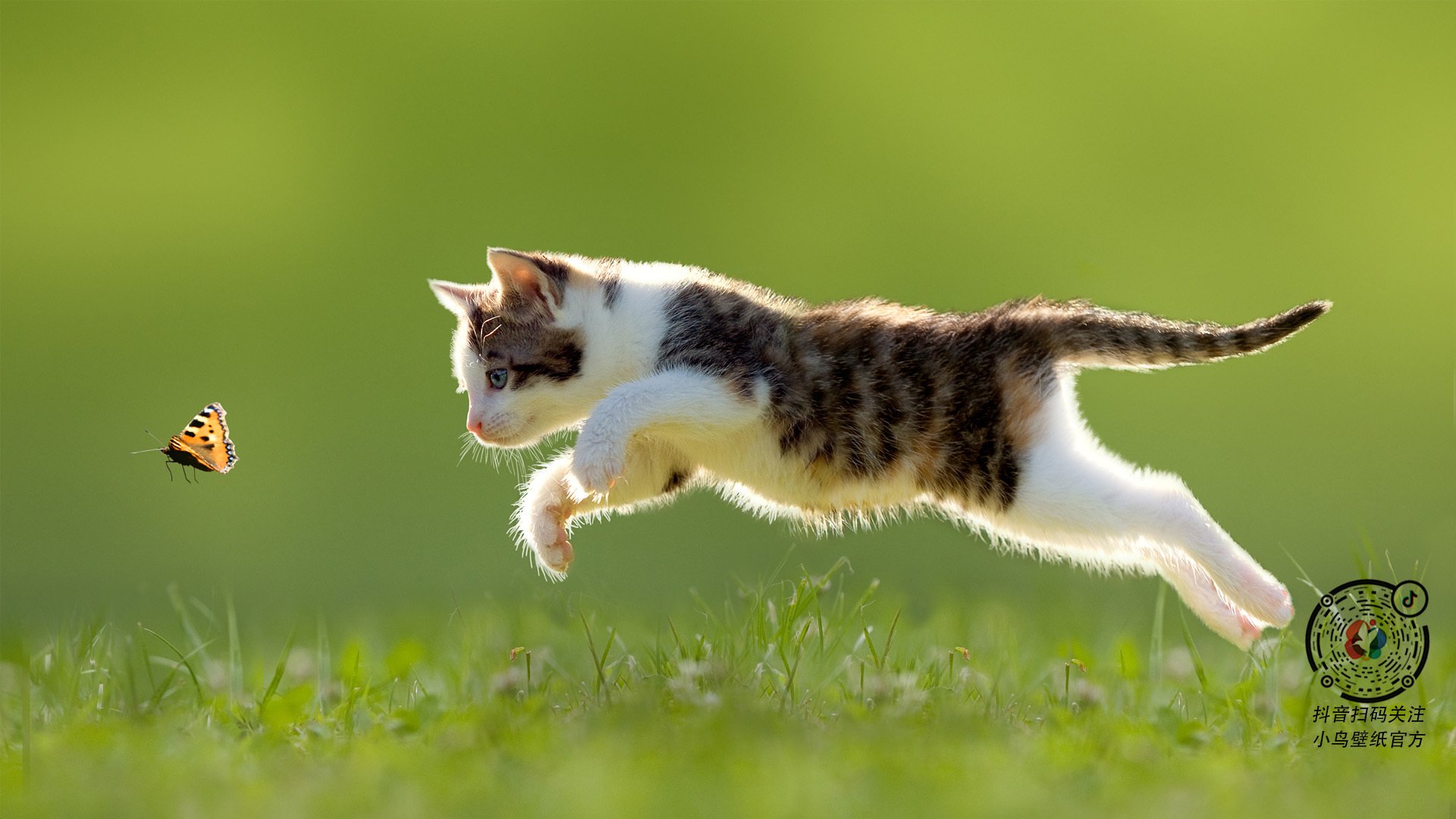 JIUYOU GAMING-西班牙青年队连续获胜，晋级欧洲大赛