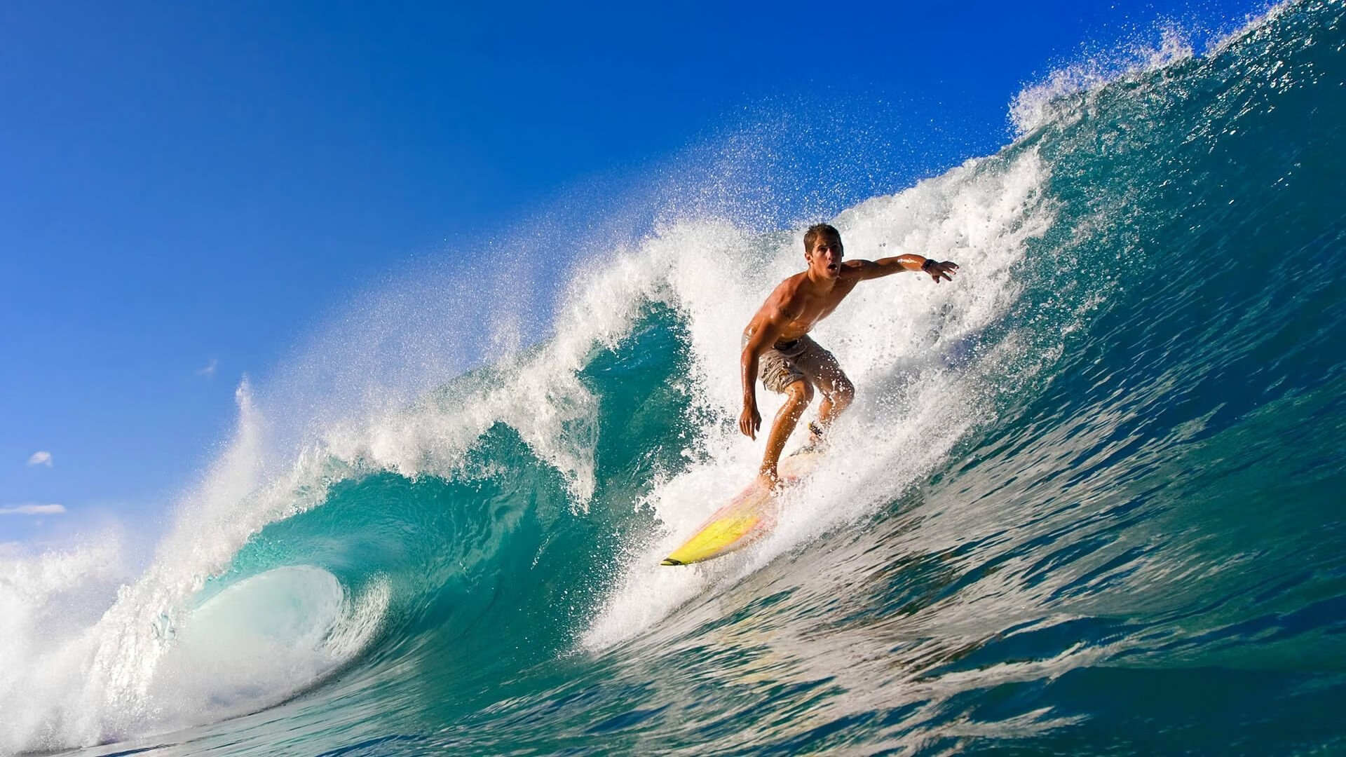 “球迷愿望：最喜欢的比赛瞬间票选榜”，球迷介绍